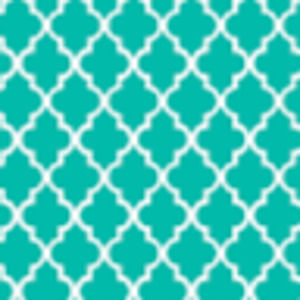 Meet your Posher, Ava